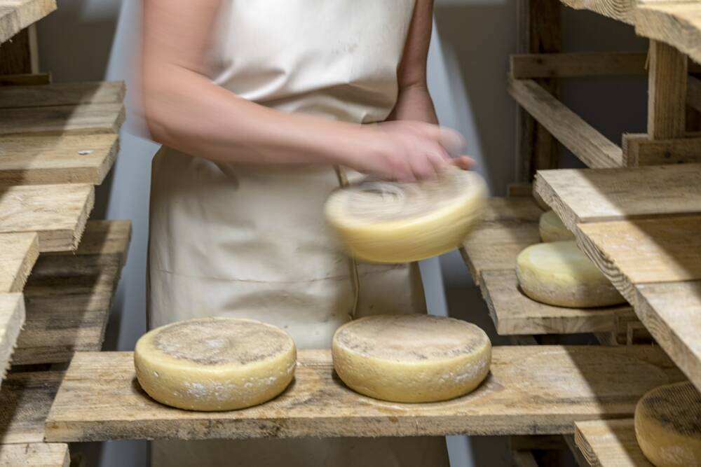Fabrication artisanale d'un fromage de chèvre