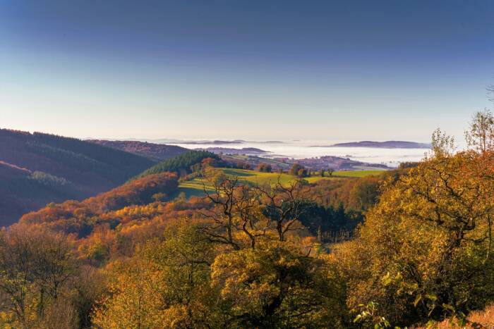 Automne - Rives du Morvan Tourisme