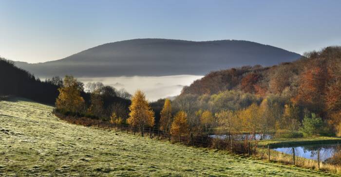 Bibracte Antoine Maillier n°94305 scaled 1 - Rives du Morvan Tourisme