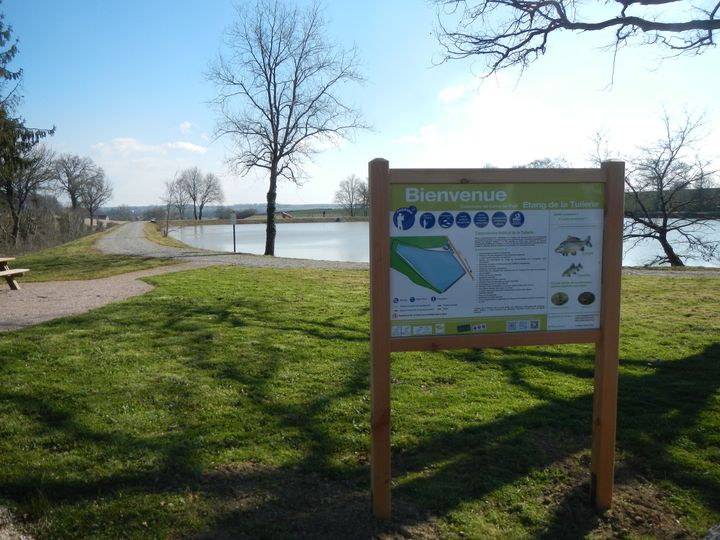 Carpodrome cercy - Rives du Morvan Tourisme