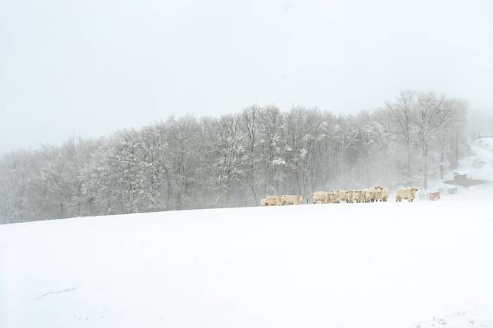 20170115 023PhotoYvesNivot - Rives du Morvan Tourisme