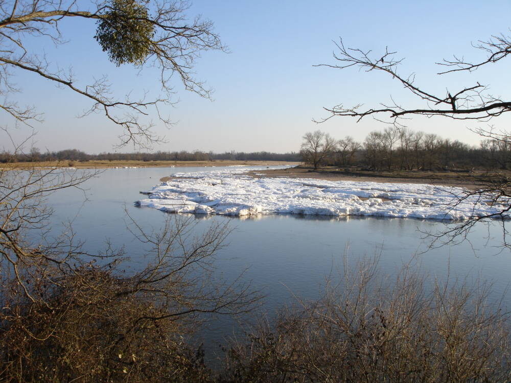 Vue des berges de la Loire en hiver