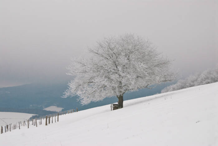 Paysage hivernal au Foudon