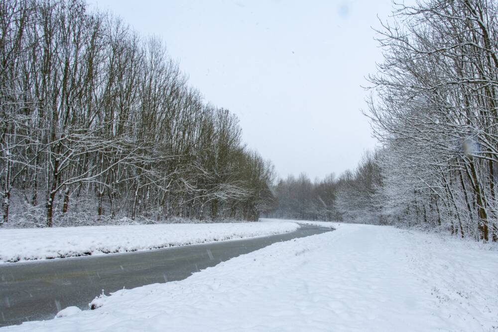 water stream middle snowy fields with trees covered snow - Rives du Morvan Tourisme