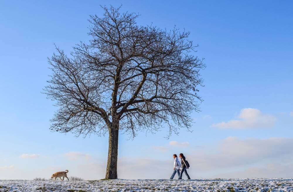 winter 6024017 1280 - Rives du Morvan Tourisme