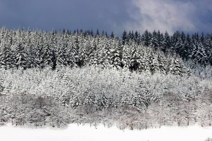 © Sylvia Dentzer 4 - Rives du Morvan Tourisme